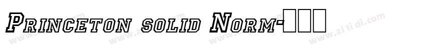 Princeton solid Norm字体转换